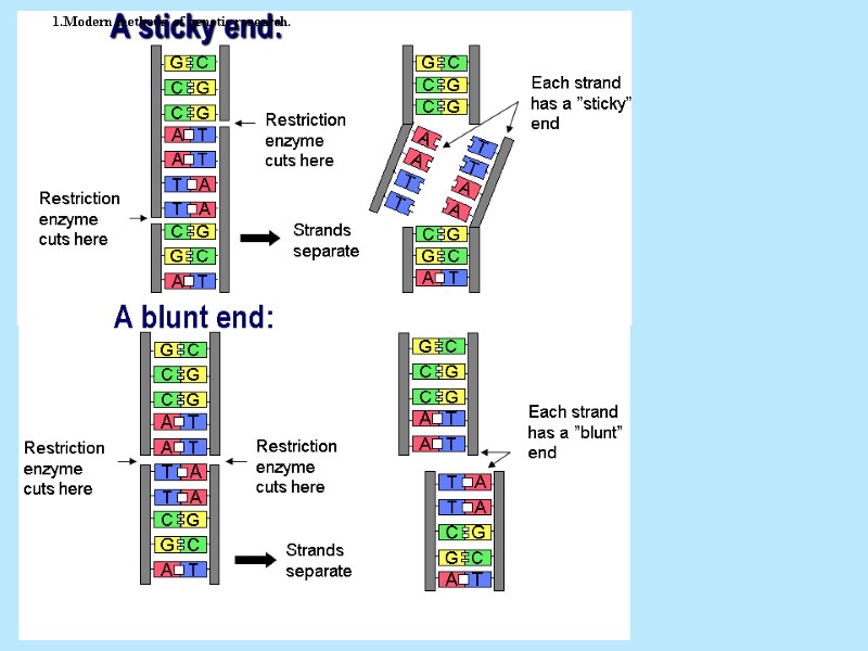 A sticky end:  A blunt end: Modern methods of genetic research.